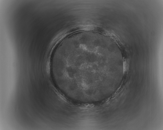 X0000110760243200906151311