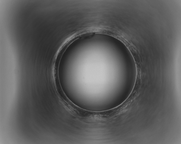 X0000110760244200906151311