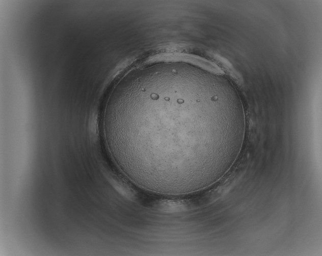 X0000110760250200906151311