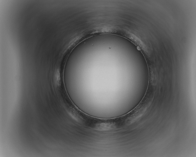 X0000110760251200906151311