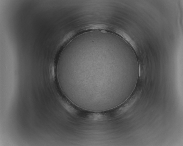 X0000110760253200906151311
