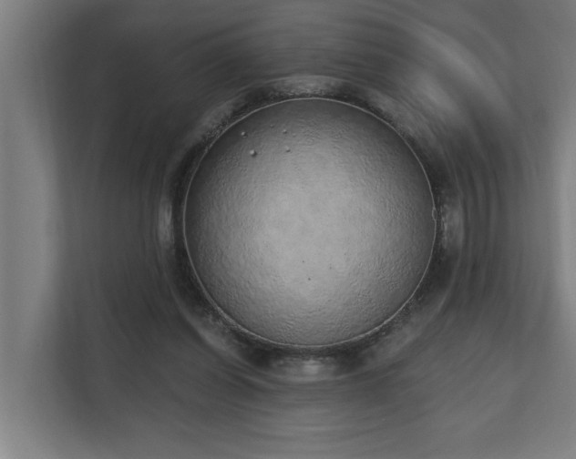 X0000110760254200906151311