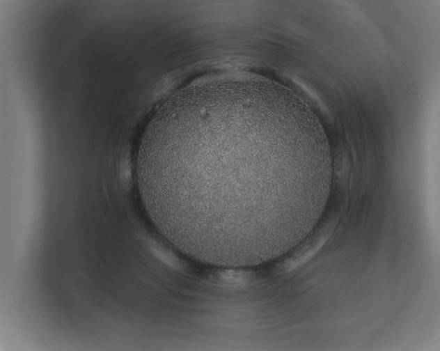 X0000110760261200906151311