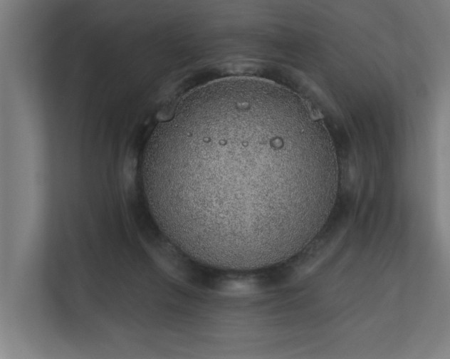 X0000110760263200906151311