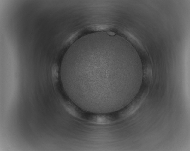X0000110760264200906151311