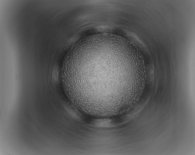 X0000110760266200906151311