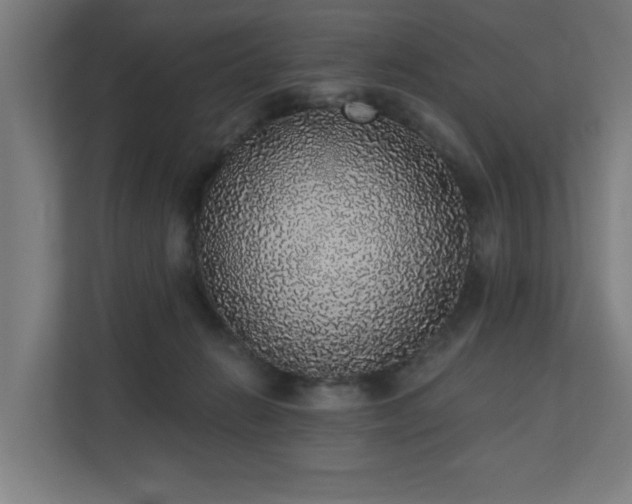 X0000110760270200906151312
