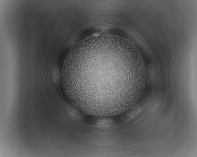 X0000110760274200906151312