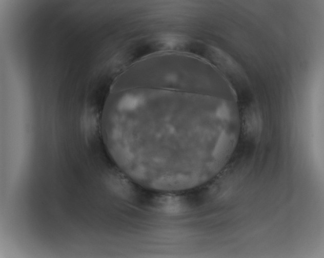 X0000110760276200906151312