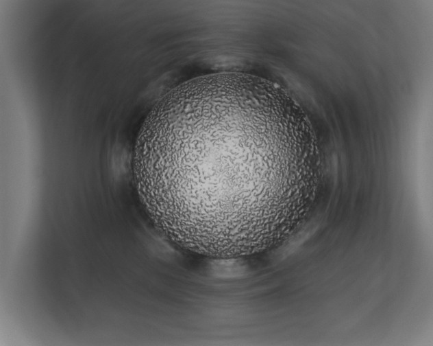 X0000110760281200906151312
