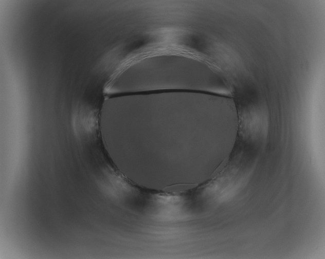 X0000110760284200906151312