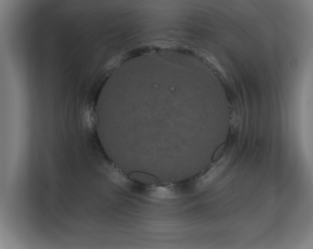 X0000110760285200906151312