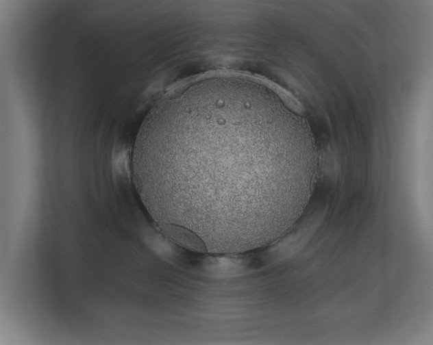 X0000110760286200906151312