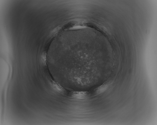 X0000110760288200906151312