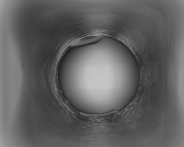X0000110760289200906151311