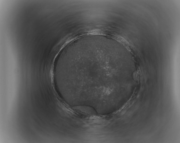 X0000110760290200906151311