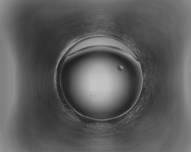 X0000110760292200906151311