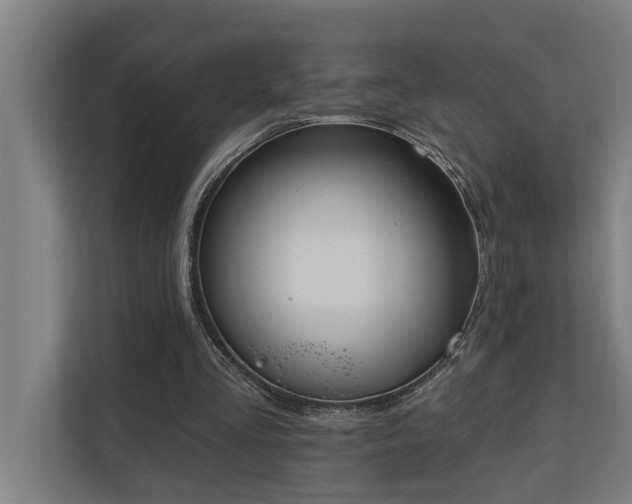 X0000110760293200906151311