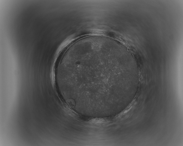 X0000110760294200906151311