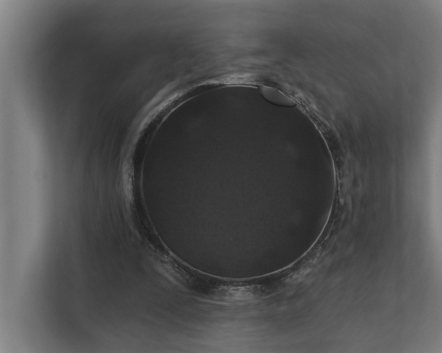 X0000110760295200906151311
