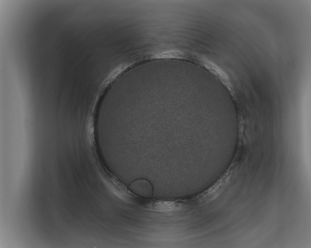 X0000110760298200906151311
