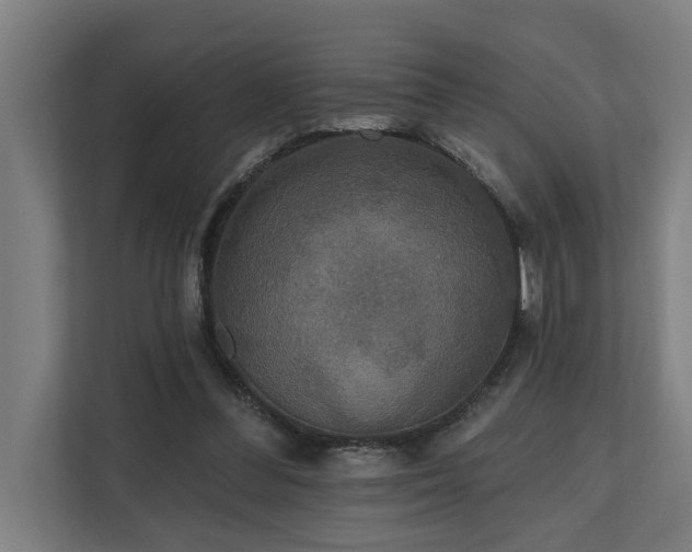 X0000110760300200906151311