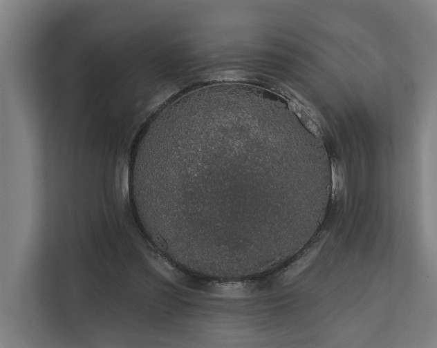 X0000110760301200906151311