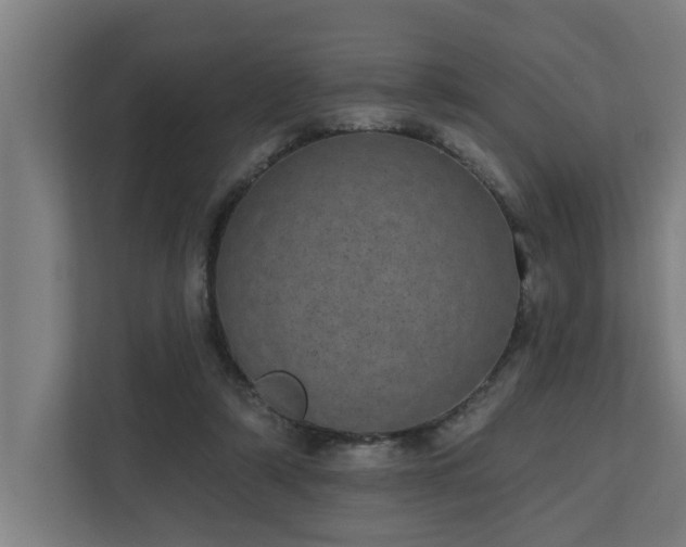 X0000110760306200906151311
