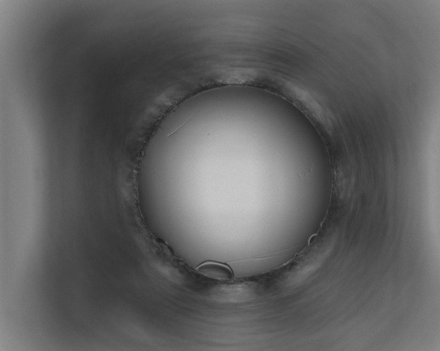 X0000110760307200906151311
