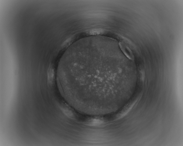 X0000110760308200906151311