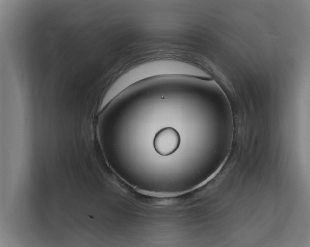 X0000110760313200906151311