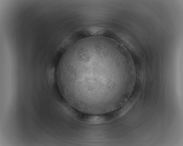 X0000110760319200906151311