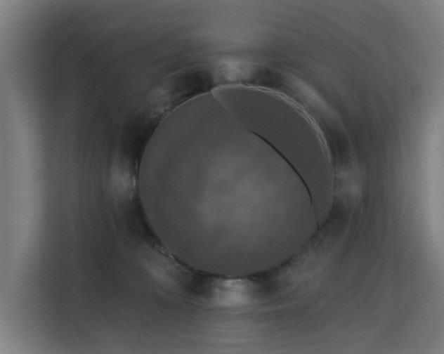 X0000110760324200906151311