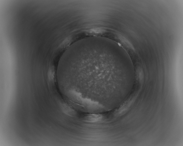 X0000110760328200906151311