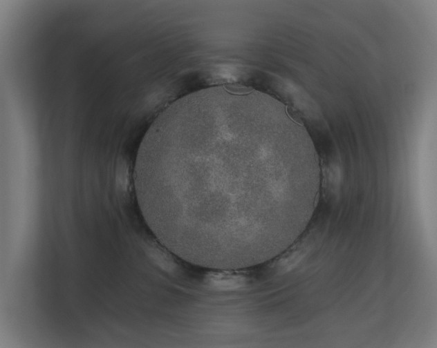 X0000110760331200906151311