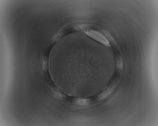 X0000110760332200906151311