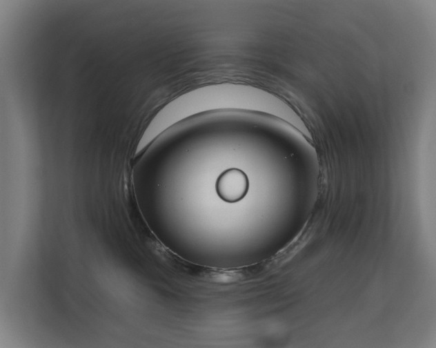 X0000110760333200906151311