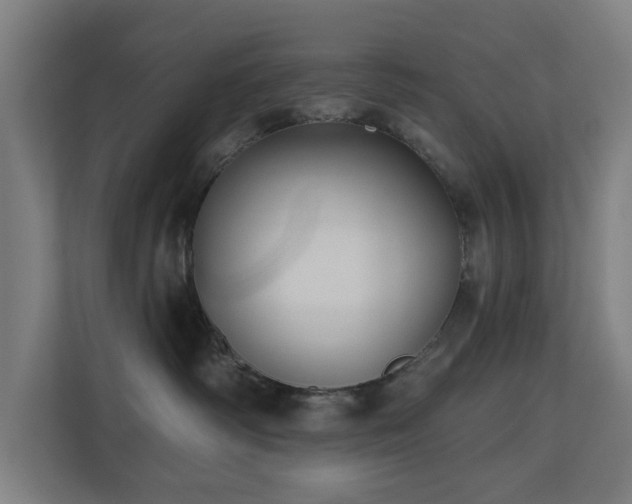 X0000110760334200906151311