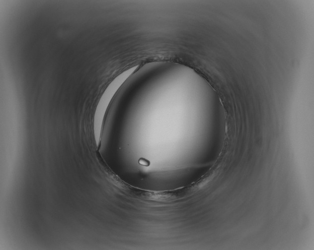 X0000110760336200906151311