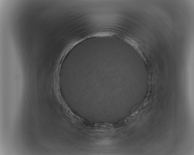 X0000110760337200906151310