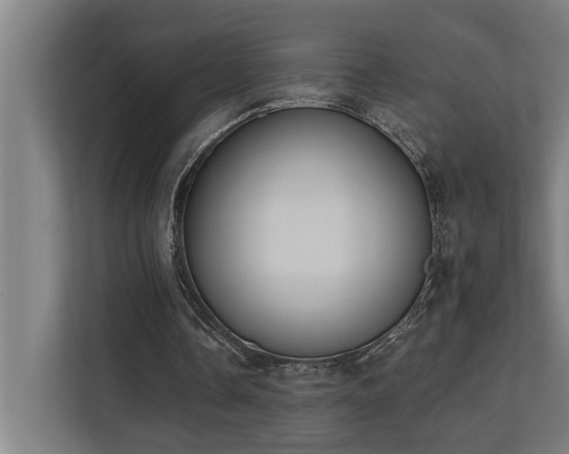 X0000110760338200906151310