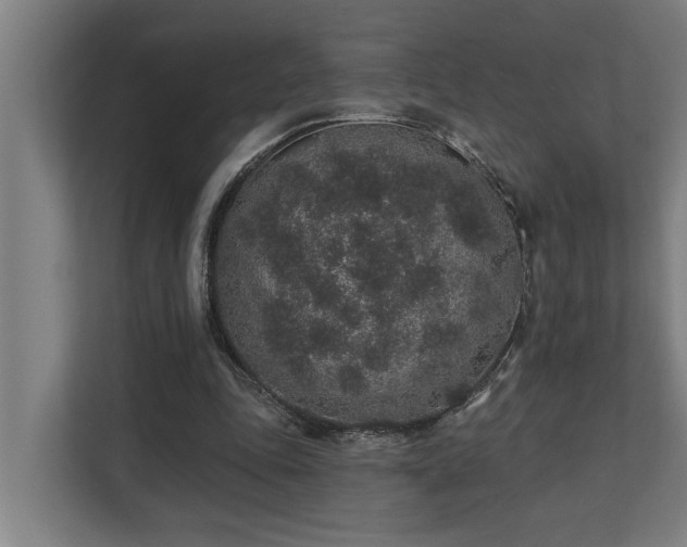X0000110760343200906151310
