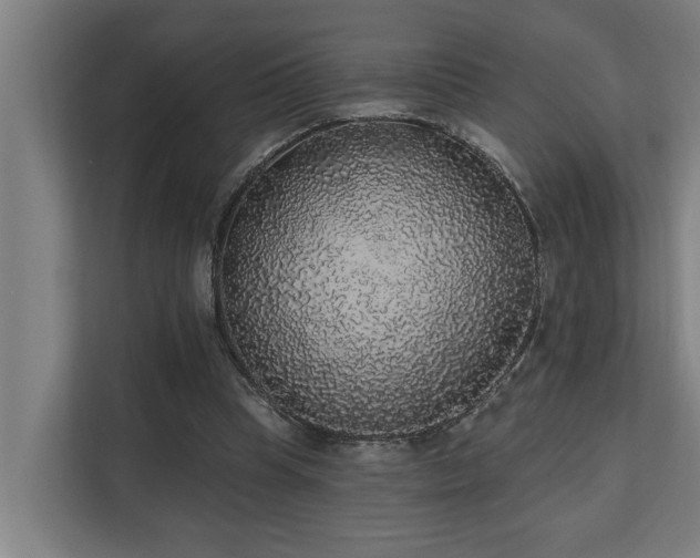 X0000110760345200906151310