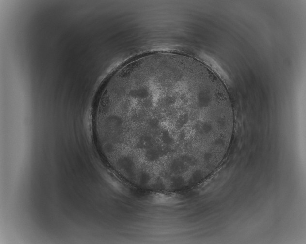 X0000110760346200906151310