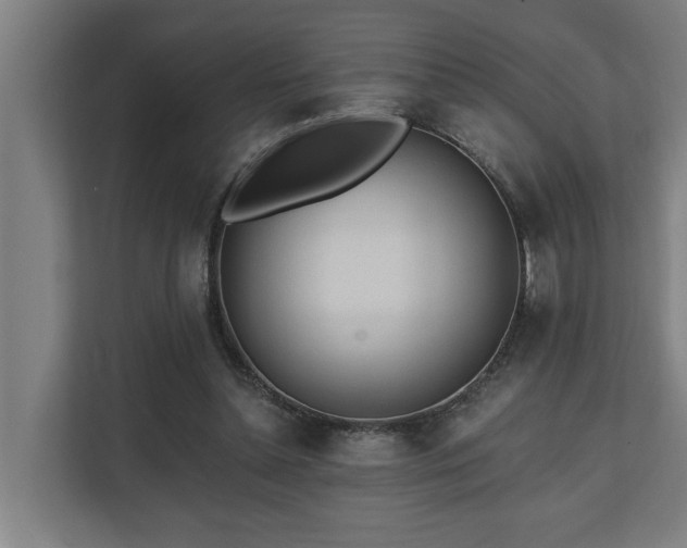 X0000110760348200906151310