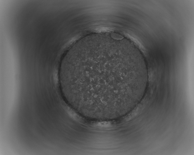 X0000110760353200906151310
