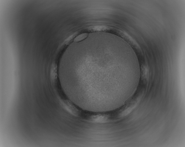 X0000110760356200906151310