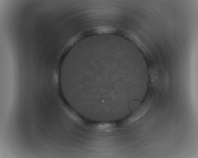 X0000110760357200906151310