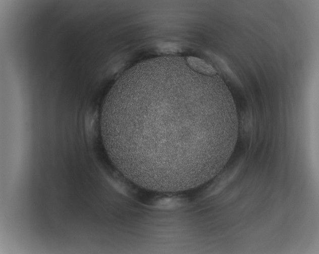 X0000110760364200906151310