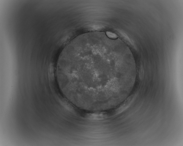 X0000110760366200906151310